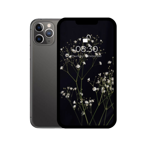 iPhone 11 pro black