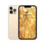 iPhone 13 pro max gold