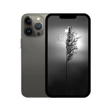 iPhone 13 pro max graphite